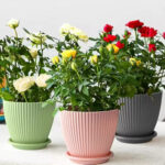 Pearl Pots are designed with matte finishing exterior in soft, round shapes, bringing out a modern minimalistic styled ceramic like visual representation