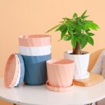 Glory Pot for Table Top Planters | 7 inch | Pack of 05 | Multicolour - Image 5