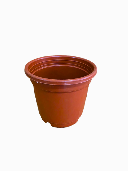 GROWW 3.5 is commonly used by gardeners and nurseries