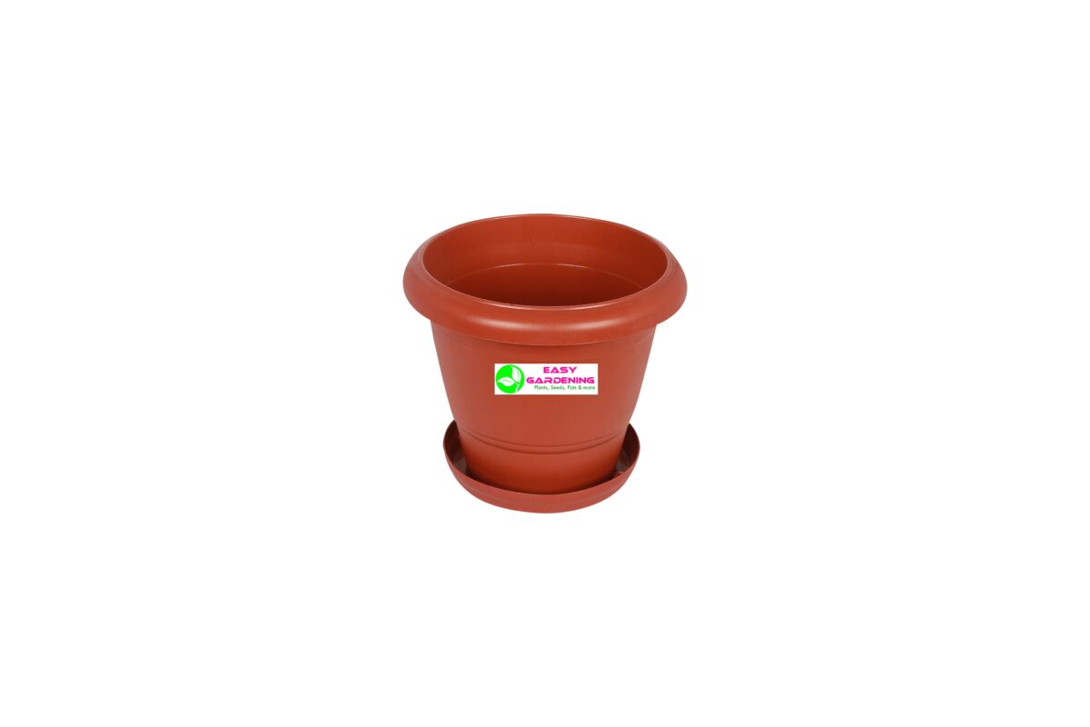 DURO Pot is designed for durability and style, offering a sturdy solution for your plant display needs.